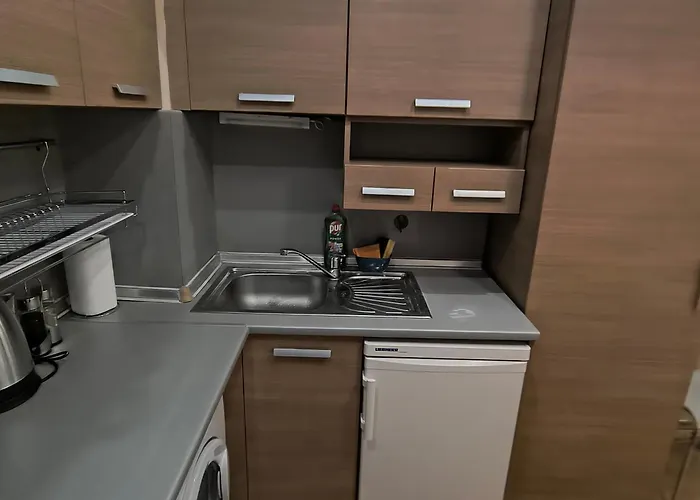 Slavi Exselsior, Sunny